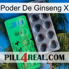 Ginseng Power X new04